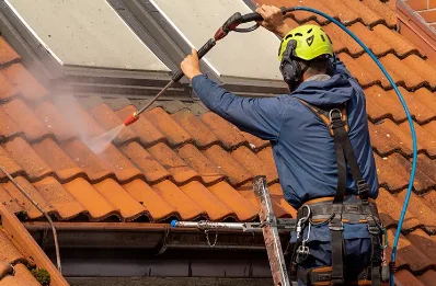 Démoussage et hydrofuge de toiture à Tiranges